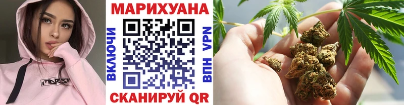 Шишки марихуана SATIVA & INDICA  сколько стоит  Отрадная 